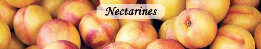 Nectarines