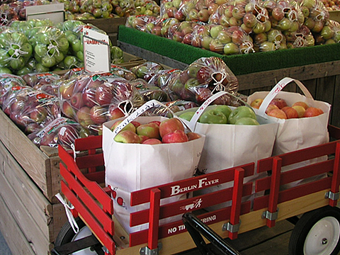 Mouthwatering Fruits